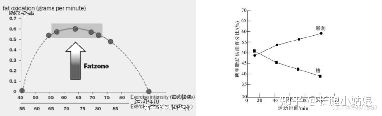 跑步机、椭圆机、动感单车、划船机哪个减脂效果最好? - 知乎