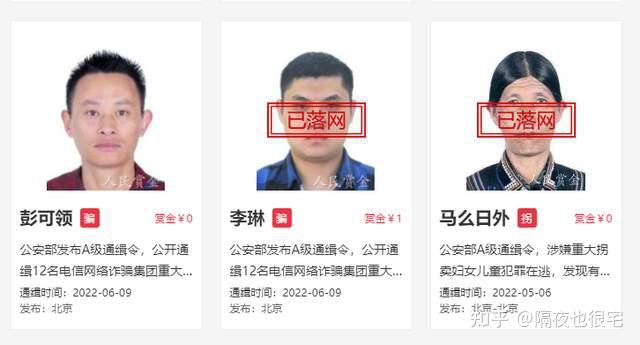 懸賞金額4元的三次元通緝犯令海賊王喬巴變得不過如此