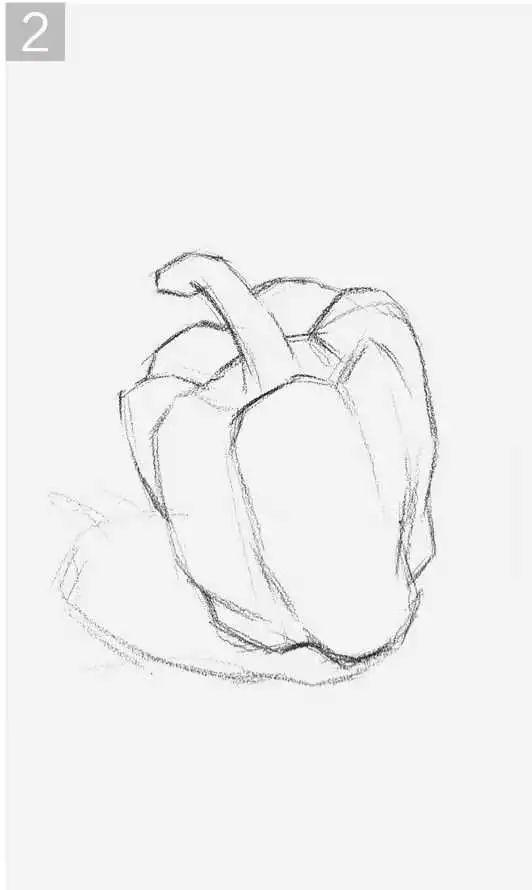 素描入门结构素描写生步骤分析