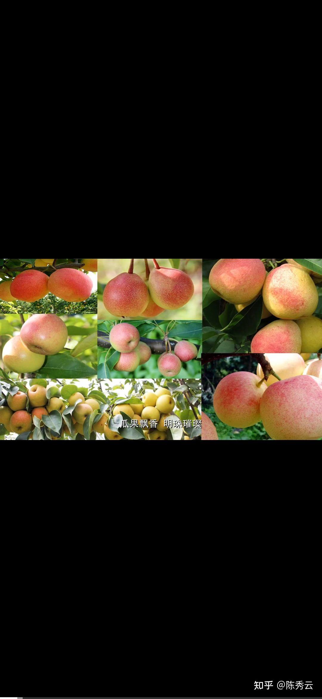 走进华云数字福田妙果生态基地