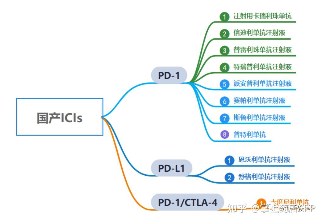 拉帕替尼机制图片