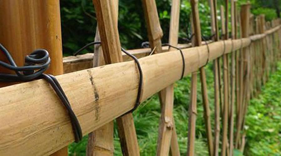 如何突围人生处处的藩篱