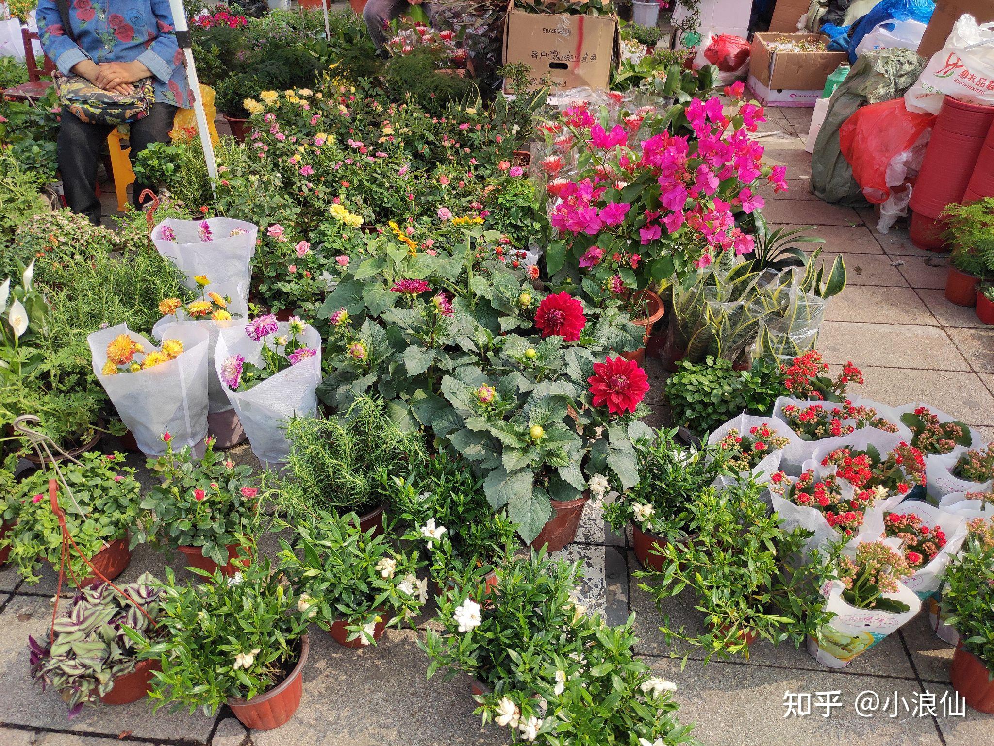 苏州石路轧神仙