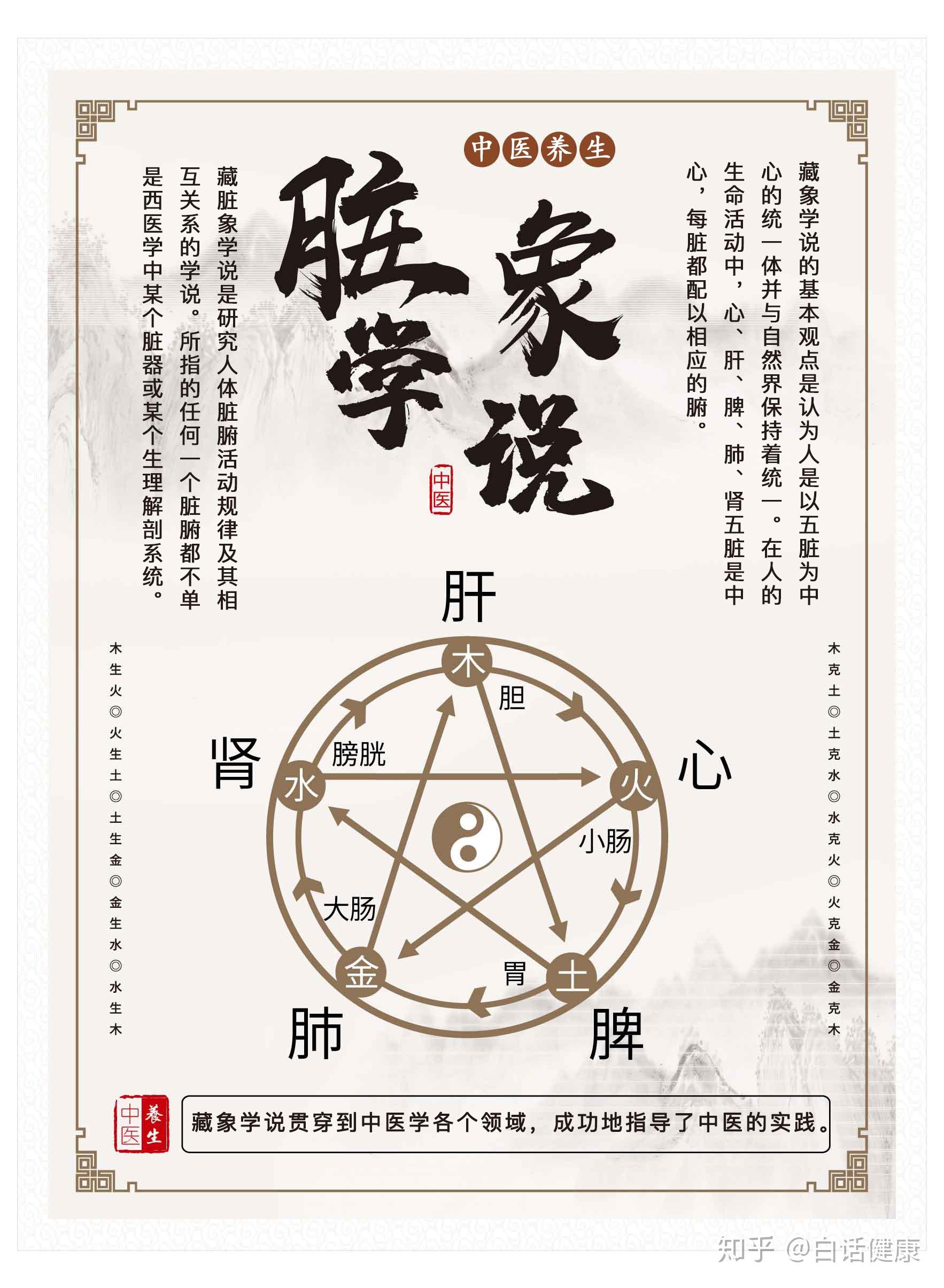 中医的脏象学说上