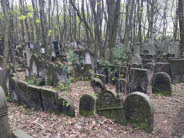 华沙犹太公墓在路上寻找片刻安宁