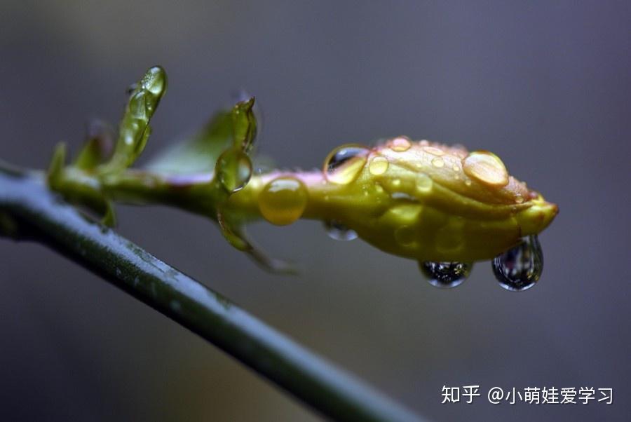 风什么雨顺成语_成语故事图片(2)