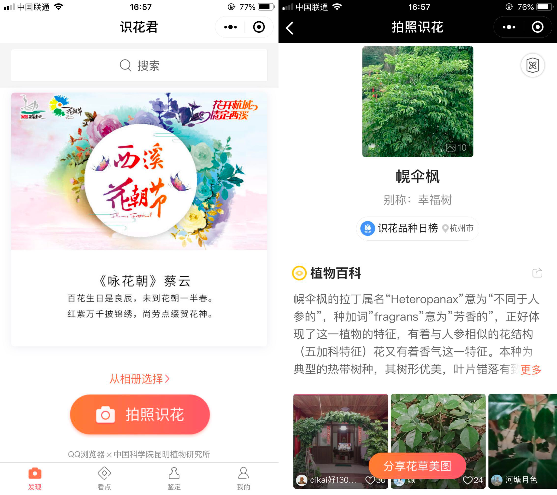 打开「识花君」小程序扫一扫 就能识别出植物品种,百科,护养方法等