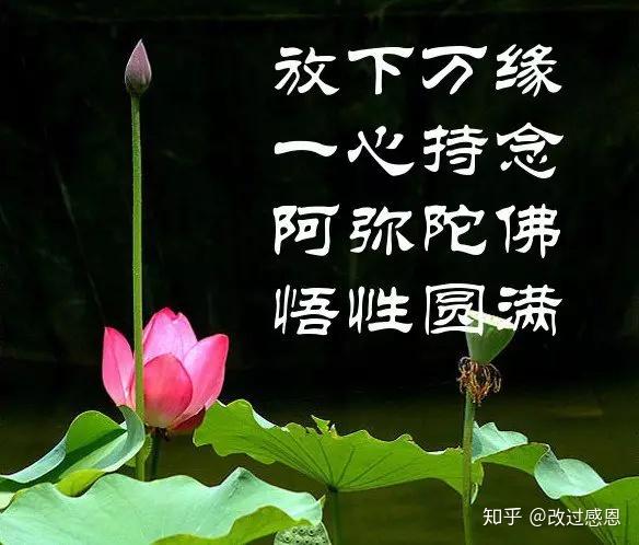 v2-f68cd144f60dd9d22bfe37841bd538ef_r.jpg