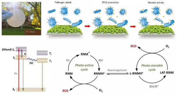 图示:光抗菌纳米纤维膜杀菌机理示意图