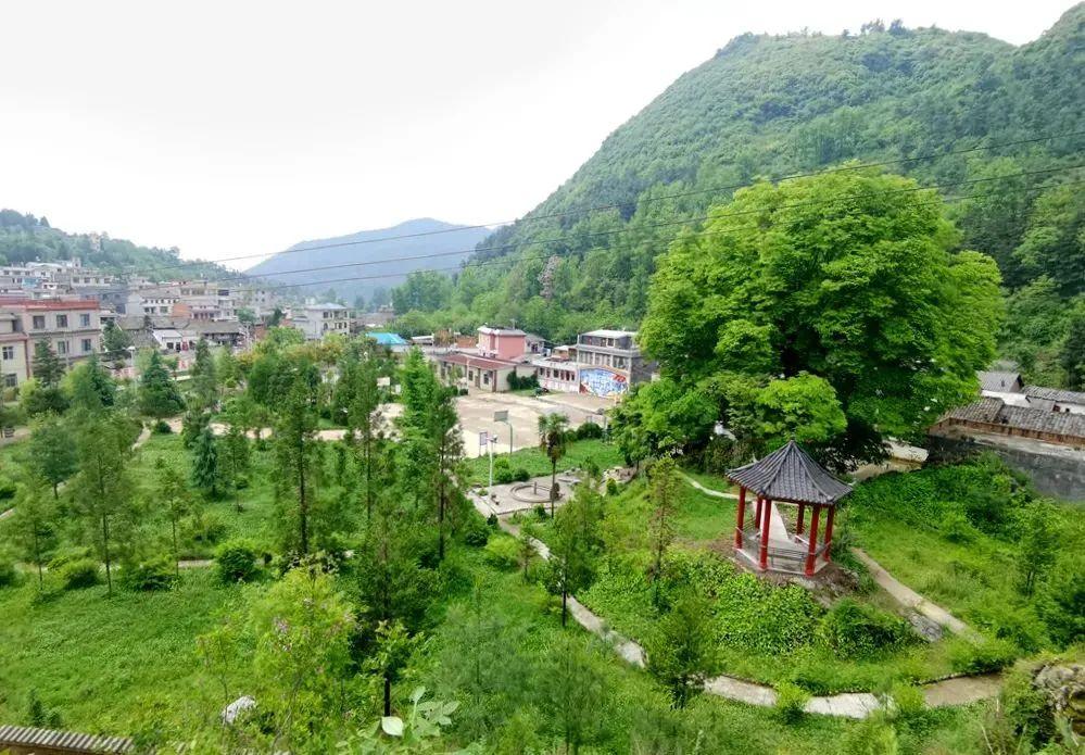 宣威龙场这棵树已有600多岁当地人称之为树神