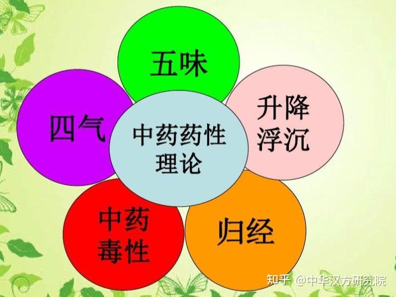 学中医要真正弄懂药性、味、归经 - 知乎