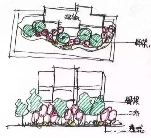 景观快题设计干货 | 超实用的植物组团配置秘籍 - 知乎