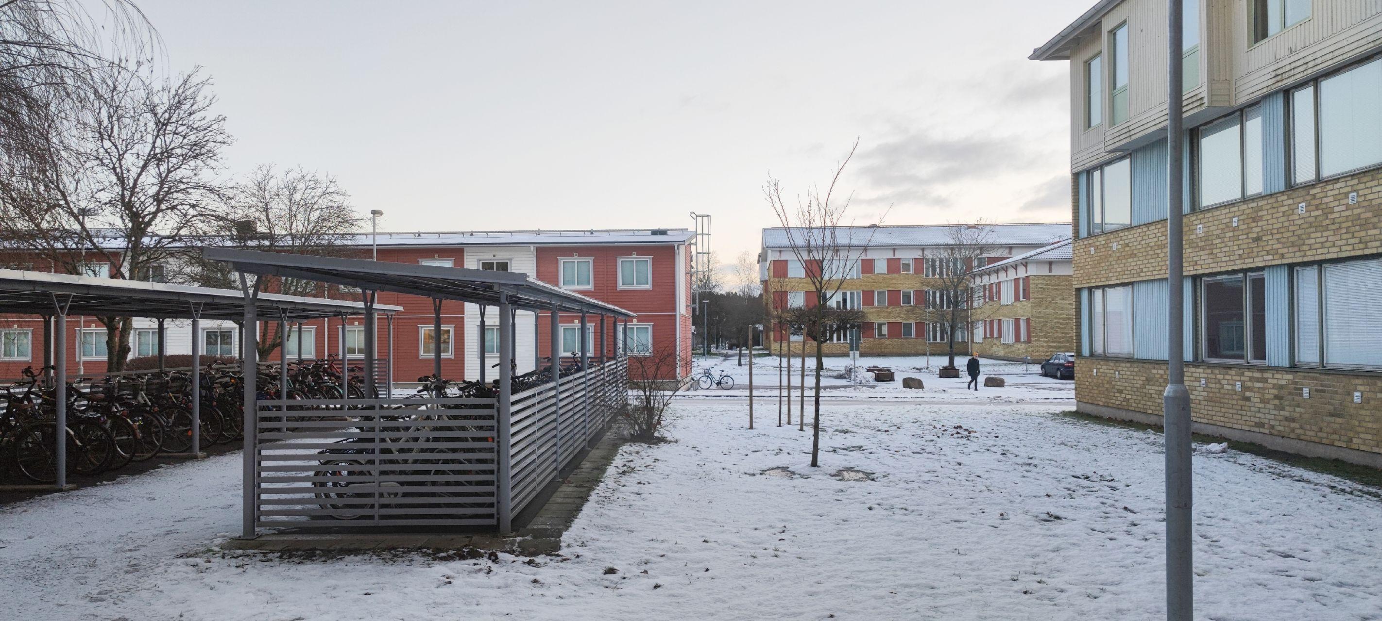 瑞典林雪平大学交换申请记录