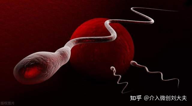 如何改善卵巢低反应患者的生育能力？ 知乎 