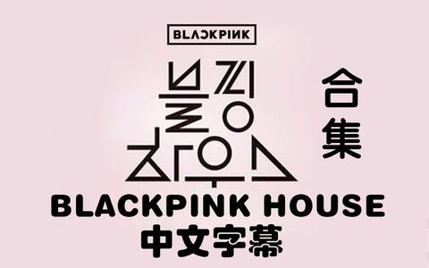 想追blackpink,有什么综艺,舞台推荐看的吗!