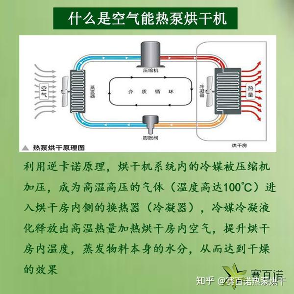 霸王花火龙果花需适时采收 用烘干机干燥加工处理 知乎