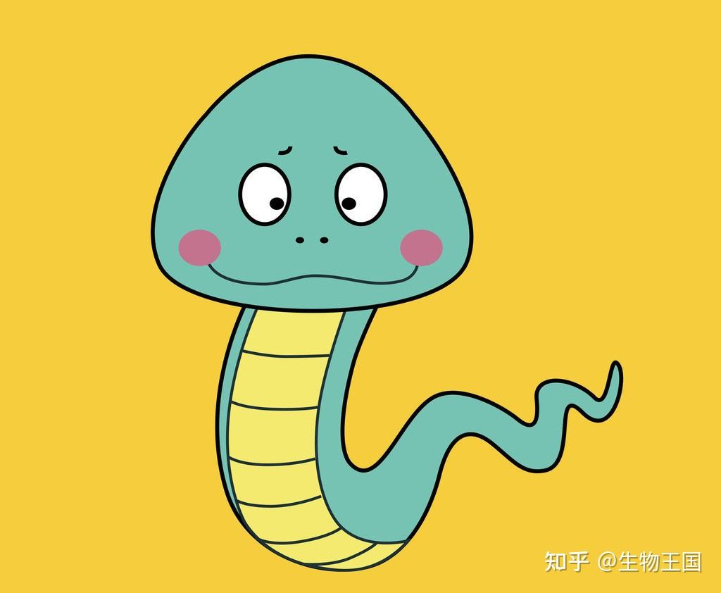 专家:罕见!十堰市路边发现剧毒白头蝰蛇,一碰毙命,至今无解药