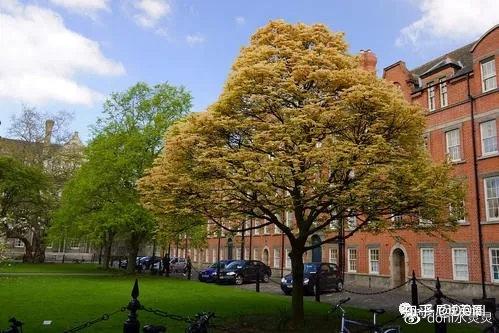 it must be karen marsh,the actress.kate: i though so.