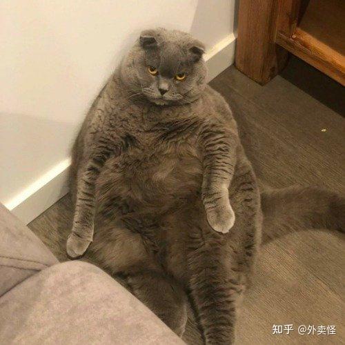 懒对一个人的影响有多大 - 知乎