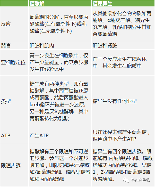 在某種程度上,糖異生可能被認為是糖酵解的逆過程,因為糖酵解將葡萄糖