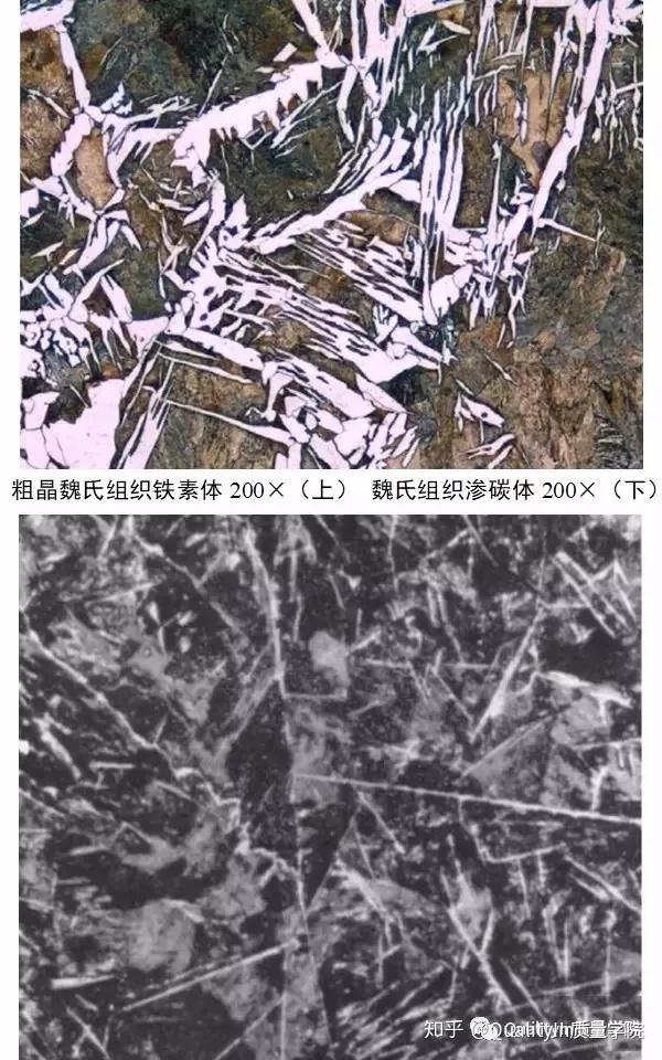 干货|图识各类金相组织知识 - 知乎