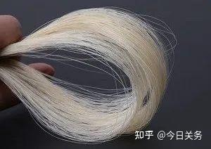 马尾毛/猪鬓毛进口,专业清关! - 知乎