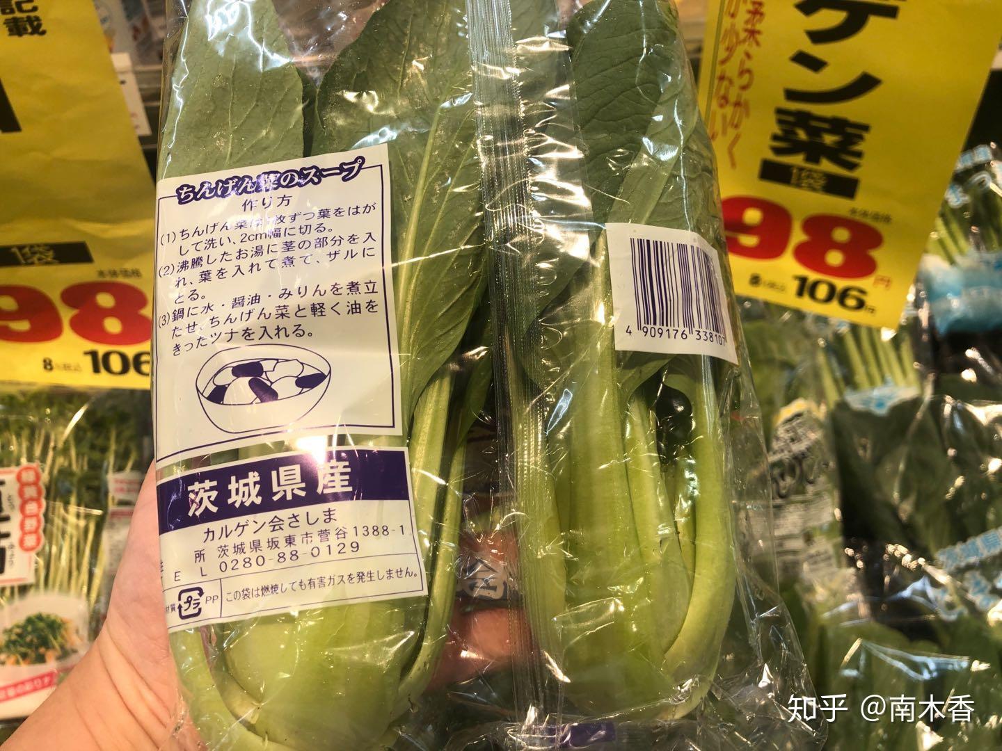 小松菜和青梗菜,日本超市里的绿色蔬菜常驻嘉宾,一年四季都看得到.