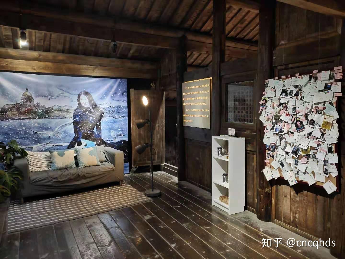 心中永存橄榄树也须感念黄桷树在三毛故居感动于一个出发一个守护的