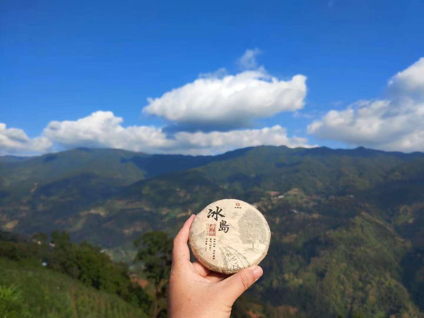 "冰岛茶"真假难辨