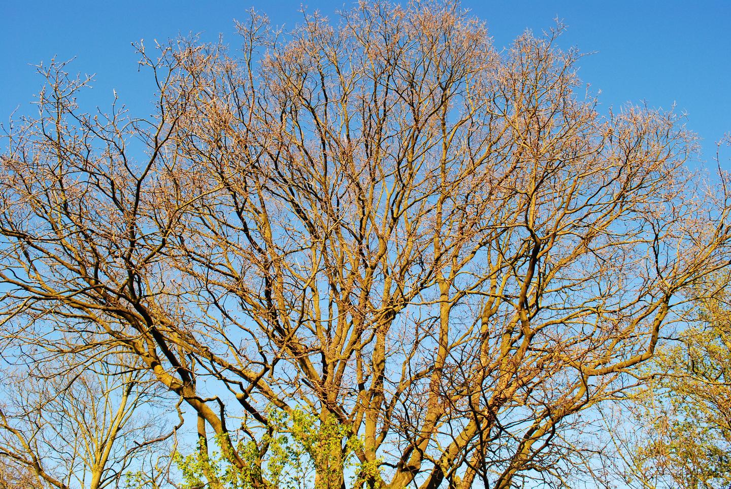 精算风险理论 三 知乎