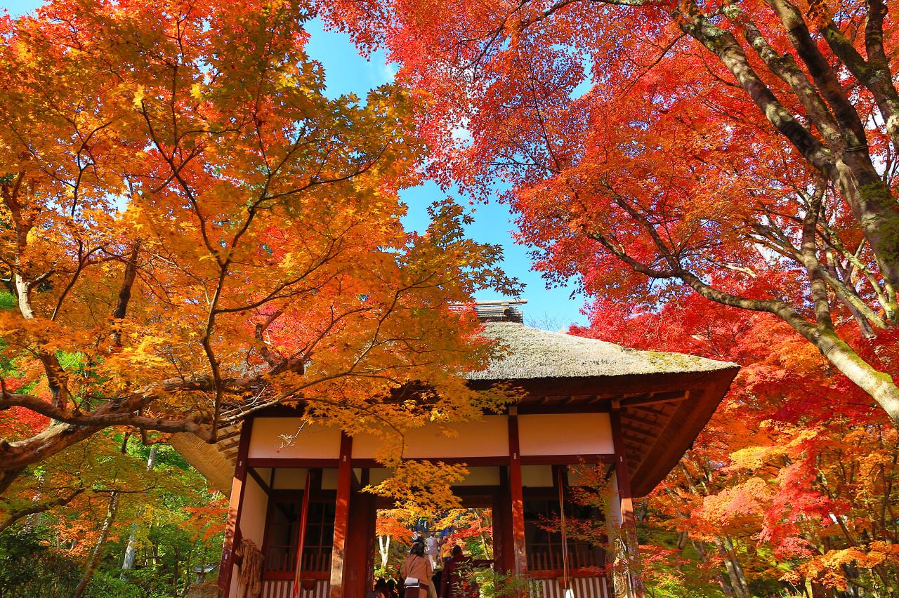 京都自由行攻略：行程第三天体验岚山小火车探寻京都最美红叶所在地 - 知乎