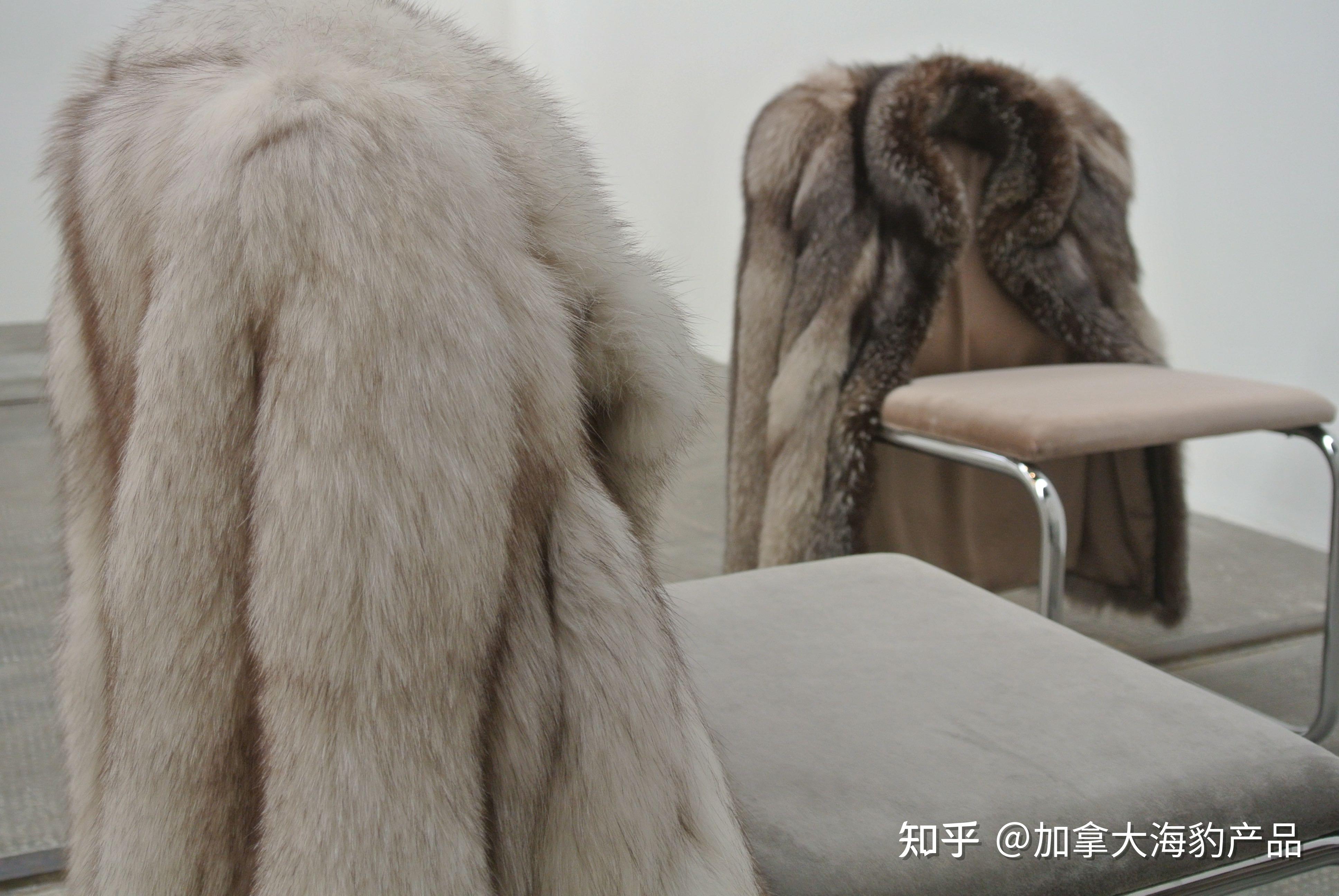 海豹皮怎么保养?