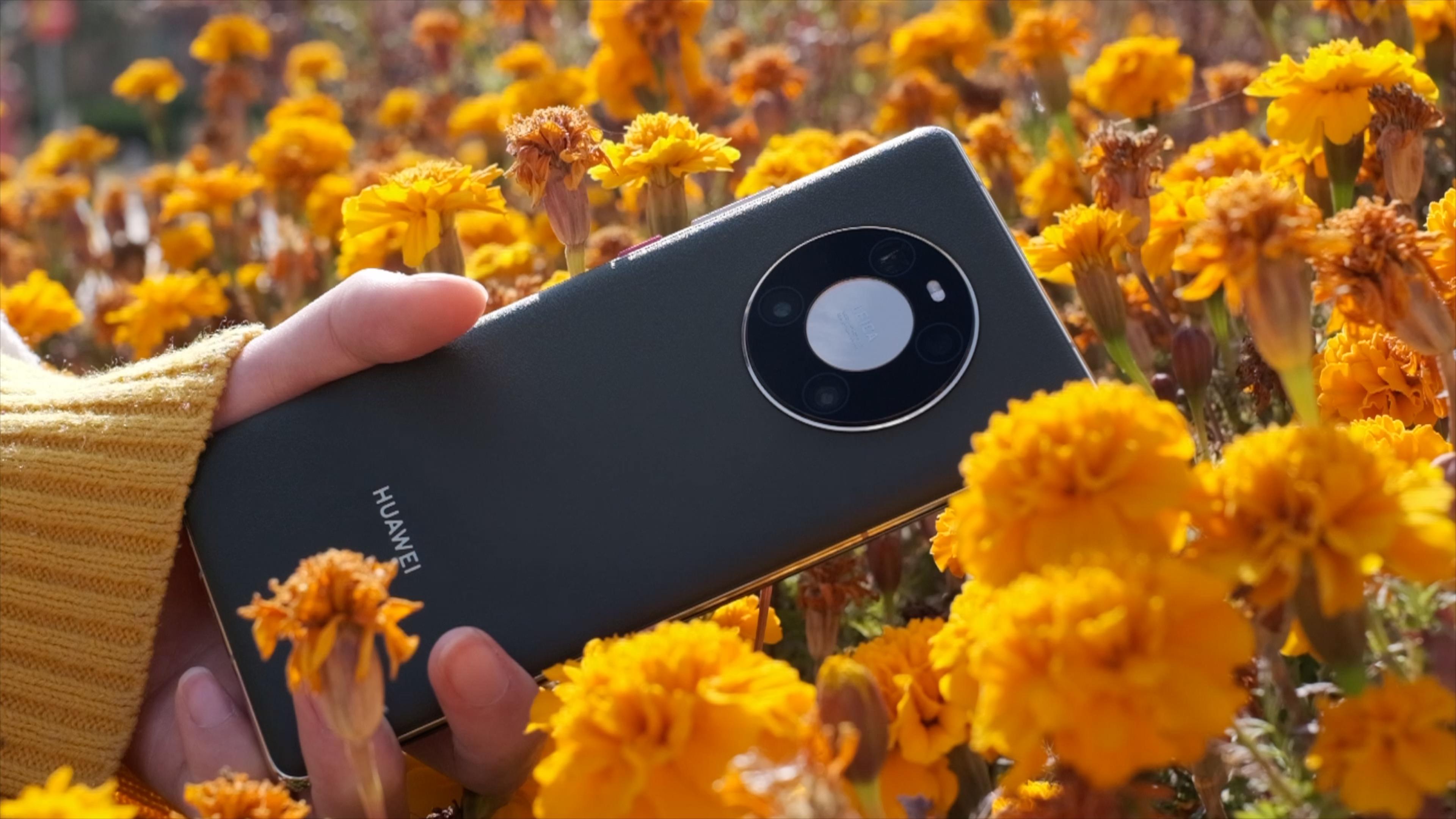 华为mate40pro评测有夸也有骂