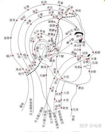 徒手治疗 按摩 我们是不是对运动康复有什么误会 知乎