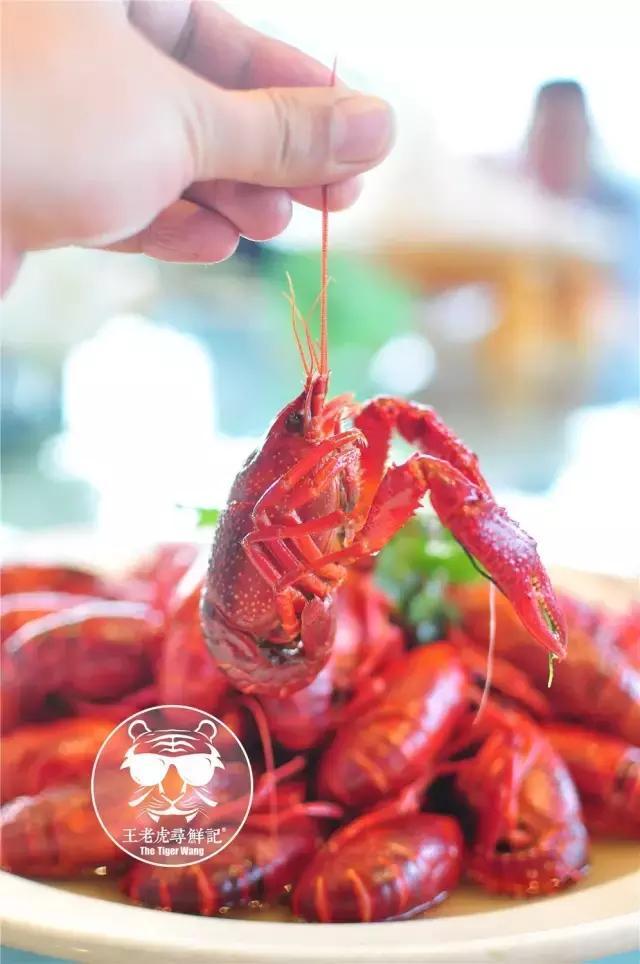 我们的味蕾越来越不快乐,灵魂也是