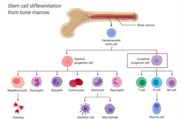 Masterpiece|另辟蹊径,用BCR克隆多样性识别肿瘤细胞 - 知乎