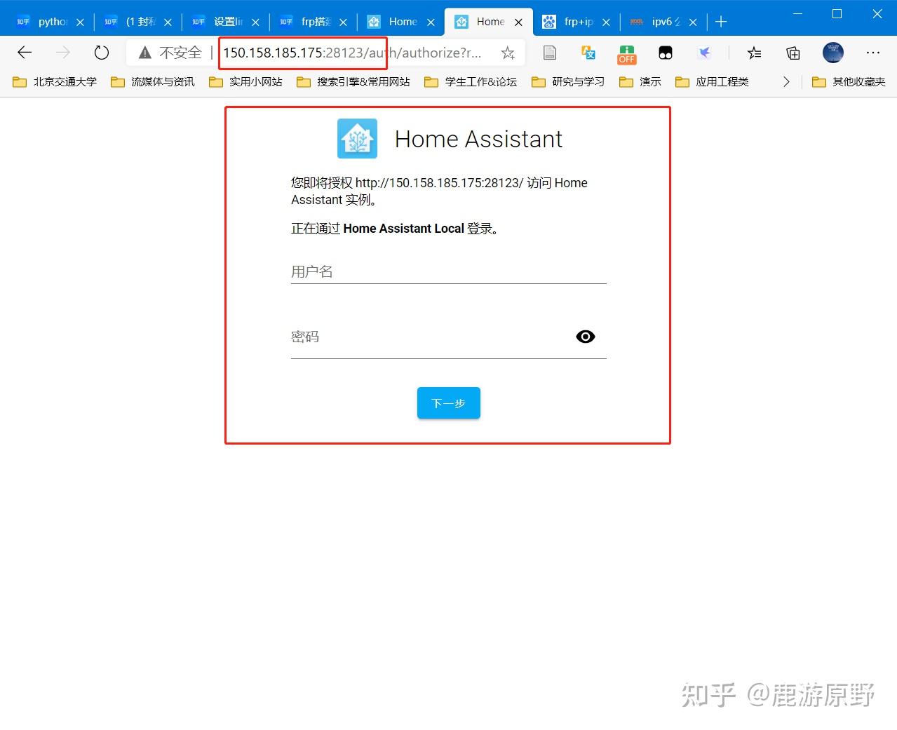 Home assistant ipv6 frp ipv4 ipv6 