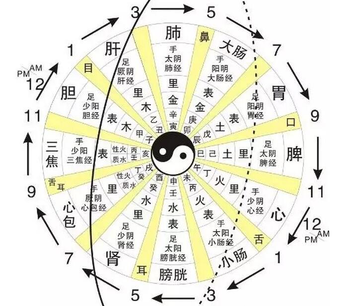 什么是周天如何通大小周天丹道周天与气功周天
