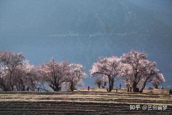 西藏旅游途经索松村——邂逅漫漫岁月浸润下的一抹惊艳 - 知乎