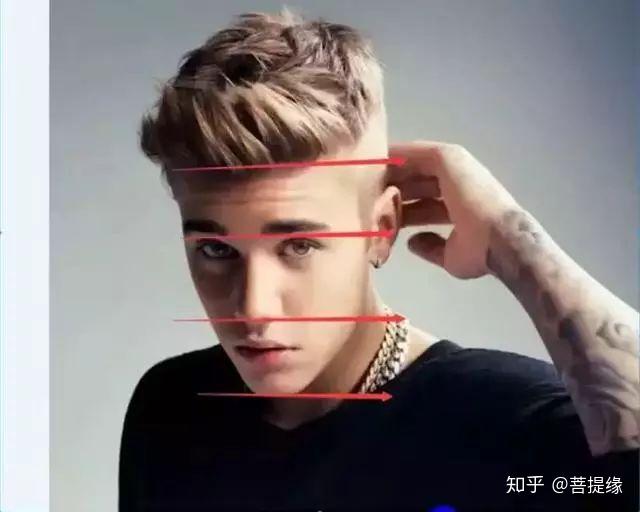 为五只眼形两只眼睛之间有一只眼睛的间距两眼外侧至侧发际各为一只