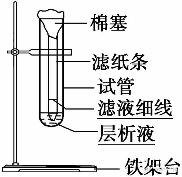 高中生物丨 光合作用与能量转化 微课精讲 知识点 知乎