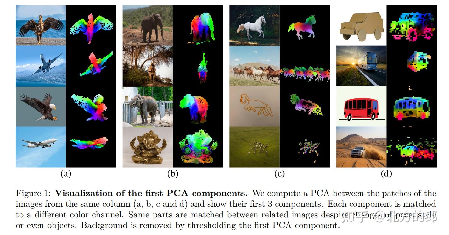 DINOv2: A Self-supervised Vision Transformer Model - 知乎
