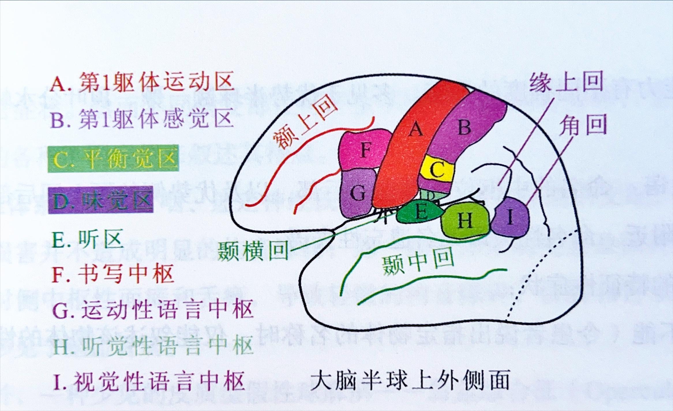 失语病人指示图图片