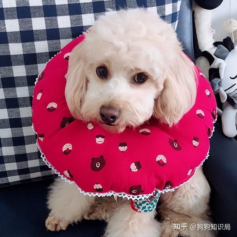 知乎