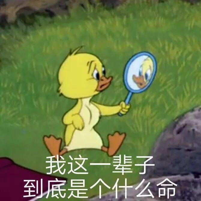 不勇敢沙雕文案,不勇敢沙雕文案短句