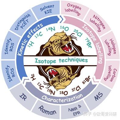 科研绘图综述图版式参考1-99张 - 知乎