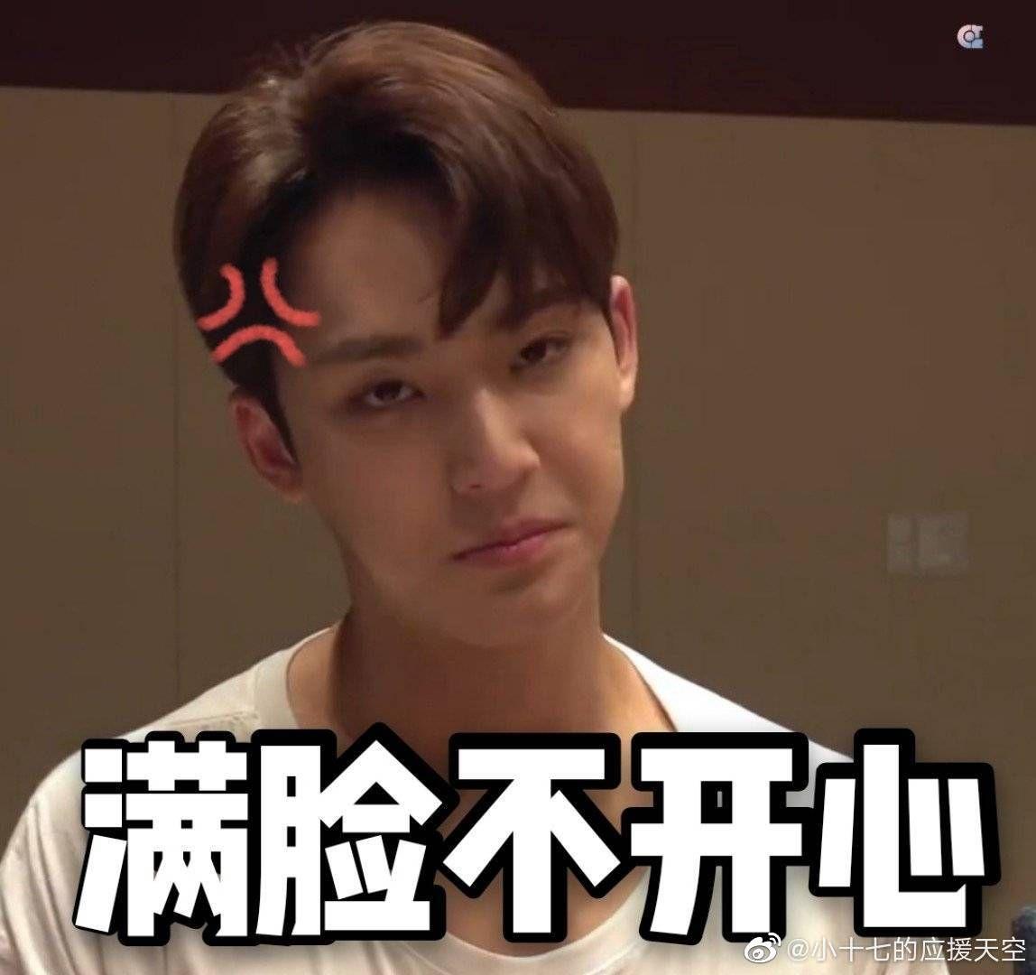 你有和seventeen相关的表情包嘛