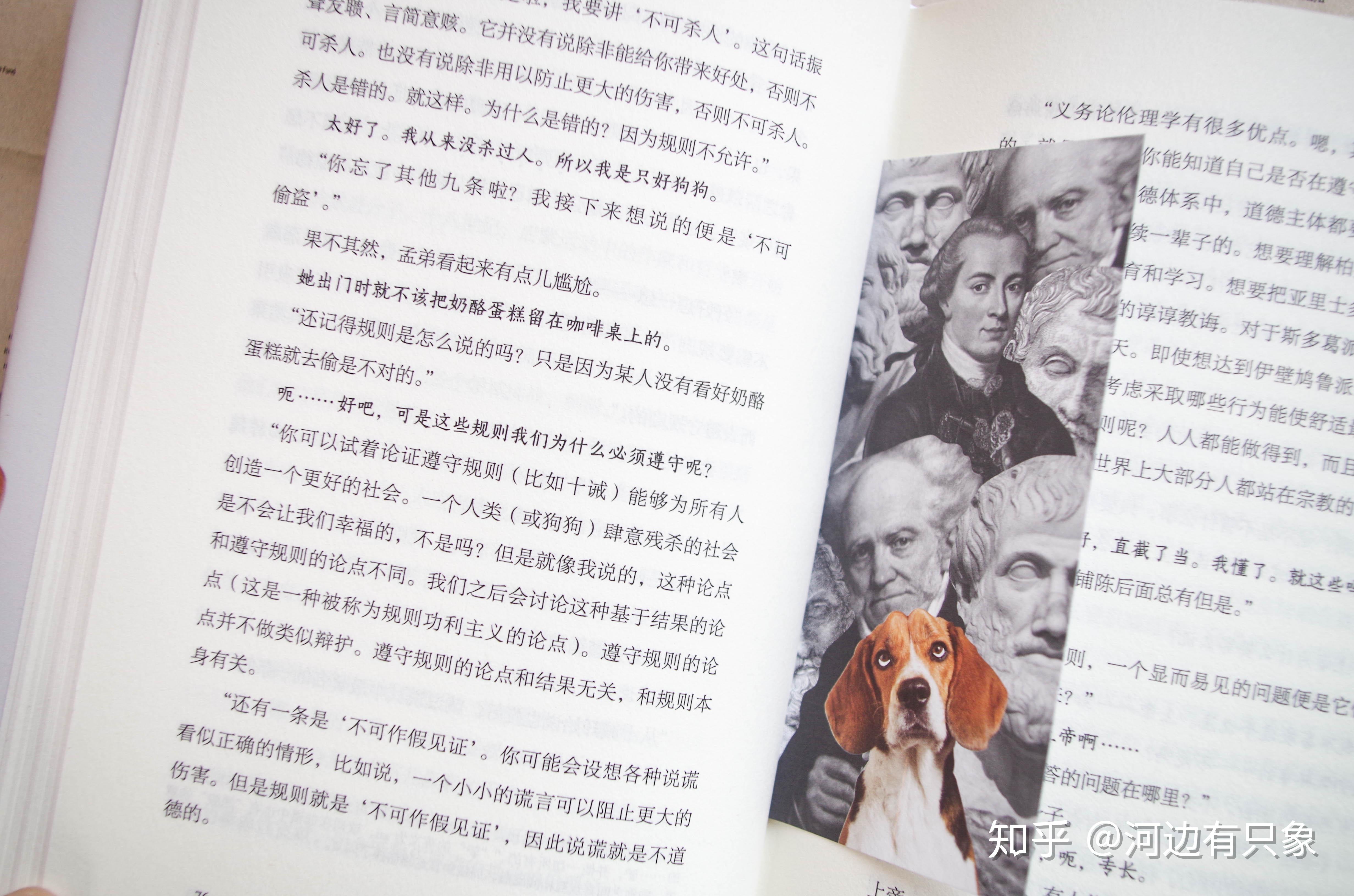 狗会思考吗?从犬儒聊《和狗狗的十二次哲学漫步》及哲学书单推荐 - 知乎