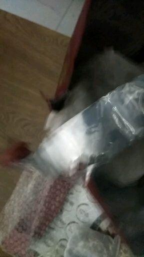 v2-f7f866347e8b03143b8026c28a1afbec.jpeg
