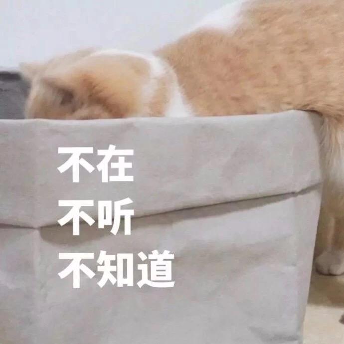 不听不听 说啥都不听 表情包推荐【金馆长表情包】 - 知乎